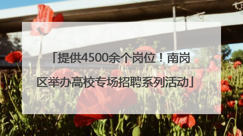 提供4500余个岗位！南岗区举办高校专场招聘系列活动