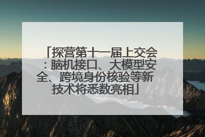 探营第十一届上交会：脑机接口、大模型安全、跨境身份核验等新技术将悉数亮相
