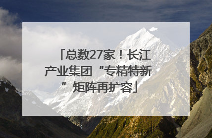 总数27家！长江产业集团“专精特新”矩阵再扩容