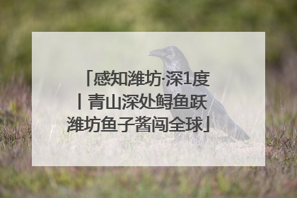 感知潍坊·深1度丨青山深处鲟鱼跃 潍坊鱼子酱闯全球