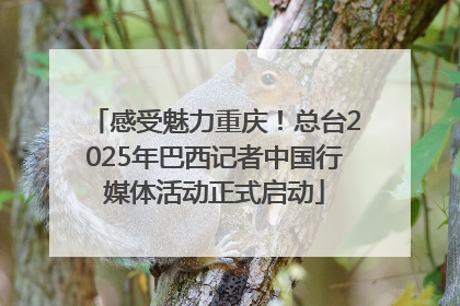 感受魅力重庆！总台2025年巴西记者中国行媒体活动正式启动