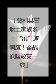慈利县甘堰土家族乡：“汛”速响应！奋战抢险救灾一线