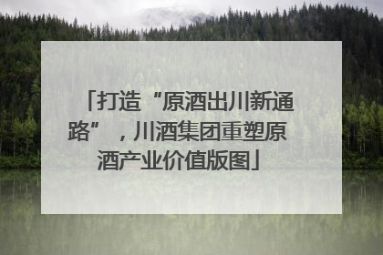打造“原酒出川新通路”，川酒集团重塑原酒产业价值版图