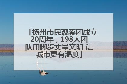 扬州市民观察团成立20周年，198人团队用脚步丈量文明 让城市更有温度
