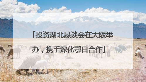 投资湖北恳谈会在大阪举办，携手深化鄂日合作