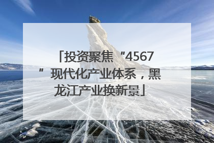 投资聚焦“4567”现代化产业体系，黑龙江产业换新景