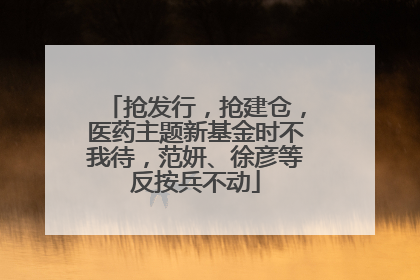 抢发行，抢建仓，医药主题新基金时不我待，范妍、徐彦等反按兵不动