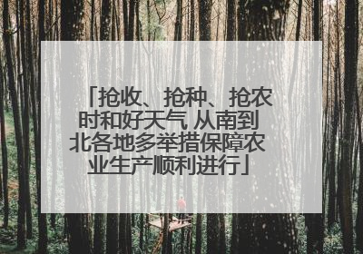 抢收、抢种、抢农时和好天气 从南到北各地多举措保障农业生产顺利进行