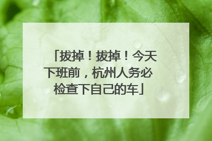 拔掉！拔掉！今天下班前，杭州人务必检查下自己的车