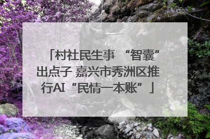 村社民生事 “智囊”出点子 嘉兴市秀洲区推行AI“民情一本账”