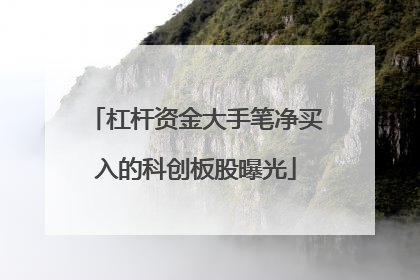 杠杆资金大手笔净买入的科创板股曝光
