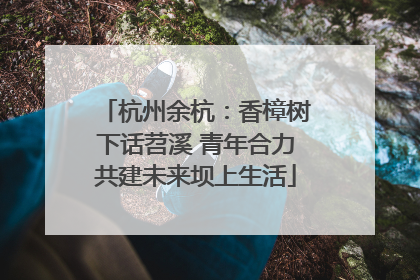 杭州余杭：香樟树下话苕溪 青年合力共建未来坝上生活