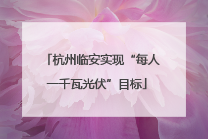 杭州临安实现“每人一千瓦光伏”目标