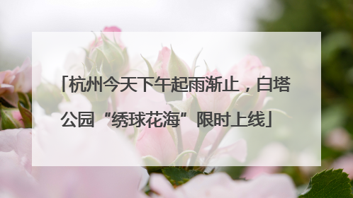杭州今天下午起雨渐止，白塔公园“绣球花海”限时上线