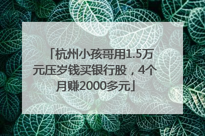杭州小孩哥用1.5万元压岁钱买银行股，4个月赚2000多元