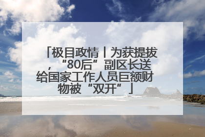 极目政情丨为获提拔，“80后”副区长送给国家工作人员巨额财物被“双开”