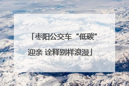 枣阳公交车“低碳”迎亲 诠释别样浪漫