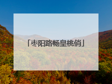 枣阳路畅皇桃俏