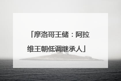 摩洛哥王储：阿拉维王朝低调继承人