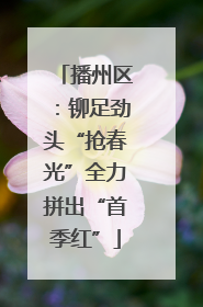 播州区：铆足劲头“抢春光”全力拼出“首季红”