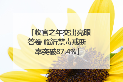 收官之年交出亮眼答卷 临沂禁毒戒断率突破87.4%