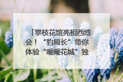 攀枝花馆亮相西博会！“豹局长”带你体验“暖暖花城”独特魅力｜西博视界