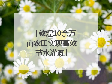敦煌10余万亩农田实现高效节水灌溉
