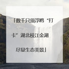 数千只须浮鸥“打卡”湖北枝江金湖 尽显生态美景