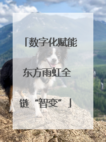 数字化赋能 东方雨虹全链“智变”