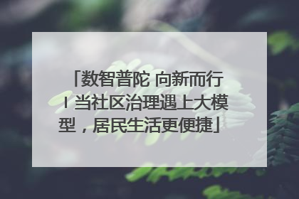 数智普陀 向新而行〡当社区治理遇上大模型，居民生活更便捷