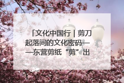 文化中国行｜剪刀起落间的文化密码——东营剪纸“剪”出非遗传承与现代生活的融合之道