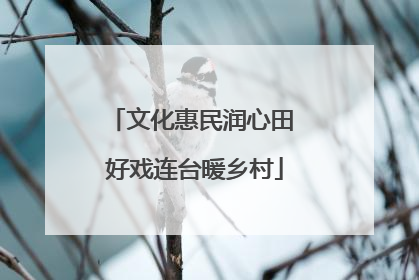 文化惠民润心田 好戏连台暖乡村