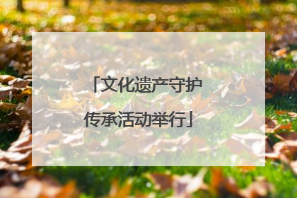 文化遗产守护传承活动举行