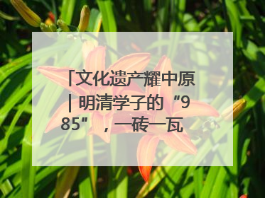 文化遗产耀中原｜明清学子的“985”，一砖一瓦都是历史
