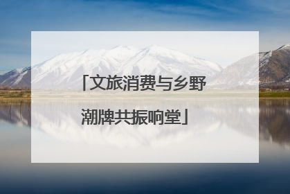 文旅消费与乡野潮牌共振响堂