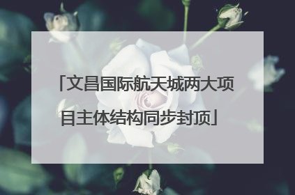 文昌国际航天城两大项目主体结构同步封顶