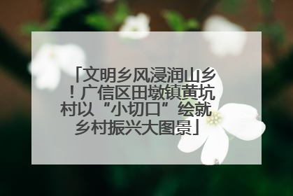 文明乡风浸润山乡！广信区田墩镇黄坑村以“小切口”绘就乡村振兴大图景