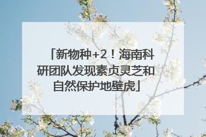 新物种+2！海南科研团队发现素贞灵芝和自然保护地壁虎