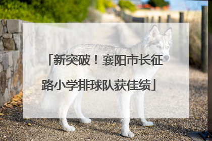 新突破！襄阳市长征路小学排球队获佳绩