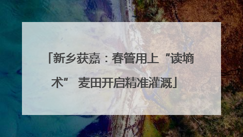 新乡获嘉：春管用上“读墒术” 麦田开启精准灌溉