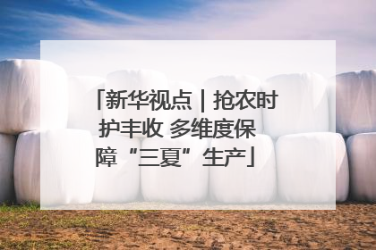 新华视点｜抢农时 护丰收 多维度保障“三夏”生产