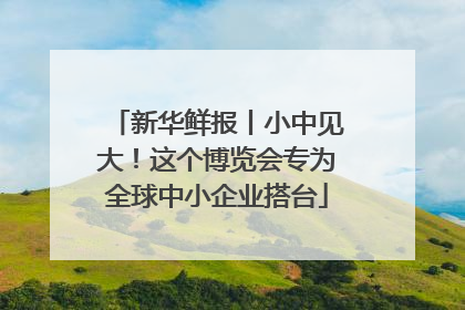 新华鲜报丨小中见大！这个博览会专为全球中小企业搭台