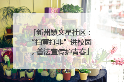 新州镇文星社区：“扫黄打非”进校园，普法宣传护青春