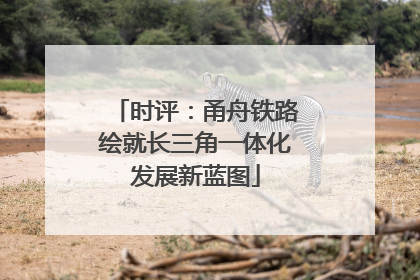 时评：甬舟铁路绘就长三角一体化发展新蓝图