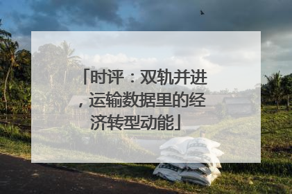 时评：双轨并进，运输数据里的经济转型动能