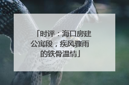 时评：海口房建公寓段，疾风骤雨的铁骨温情
