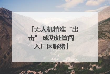 无人机精准“出击” 成功处置闯入厂区野猪