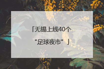 无锡上线40个“足球夜市”