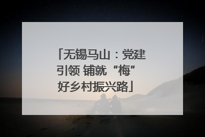 无锡马山：党建引领 铺就“梅”好乡村振兴路