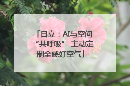 日立：AI与空间“共呼吸” 主动定制全感好空气